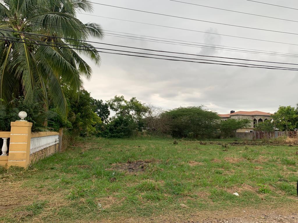 Residential Lot For Sale AVONDALE DRIVE, AVON PARK, Spanish Town