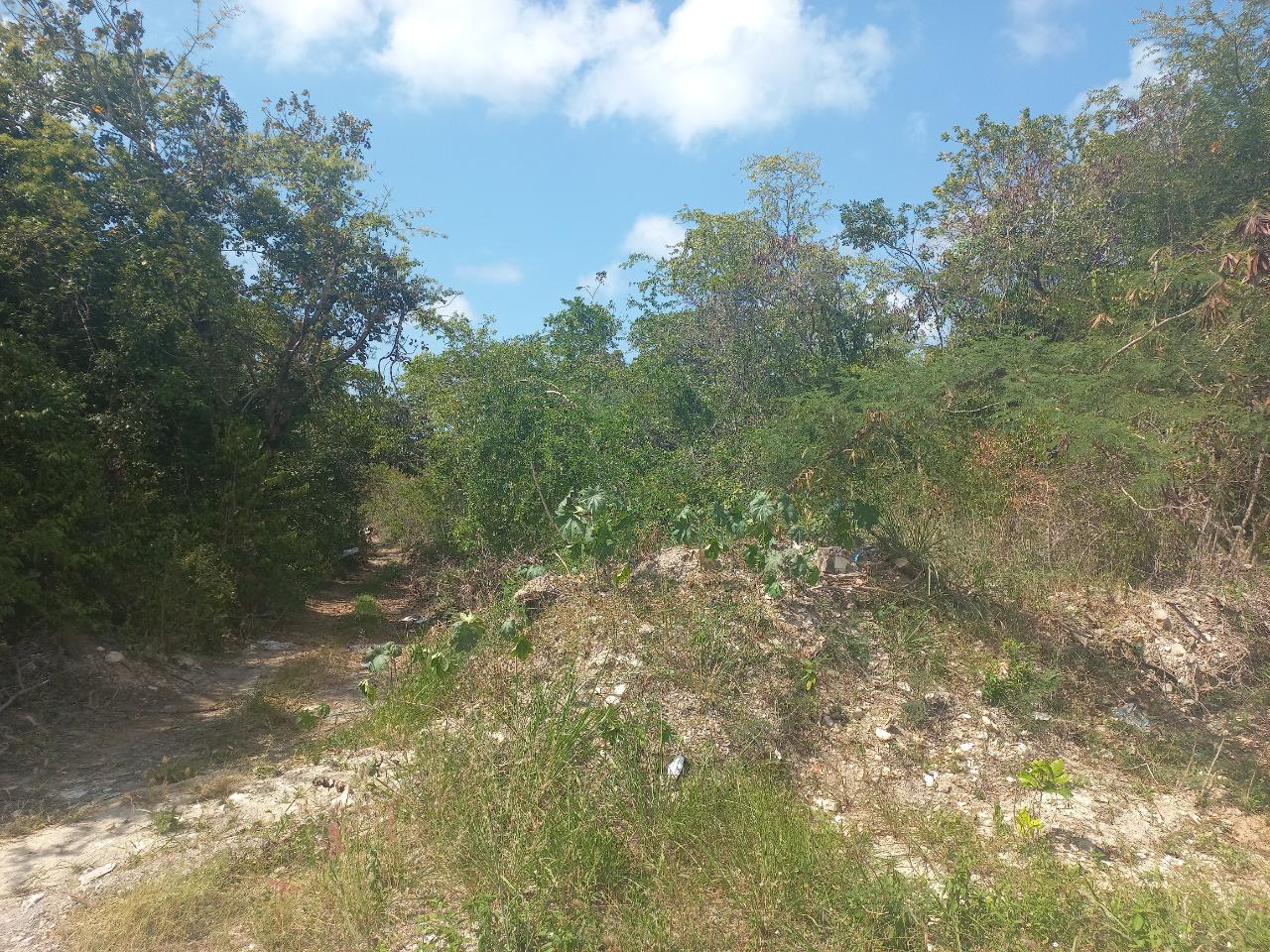 Residential Lot For Sale IRONSHORE DRIVE, Montego Bay 6,000,000 Keez
