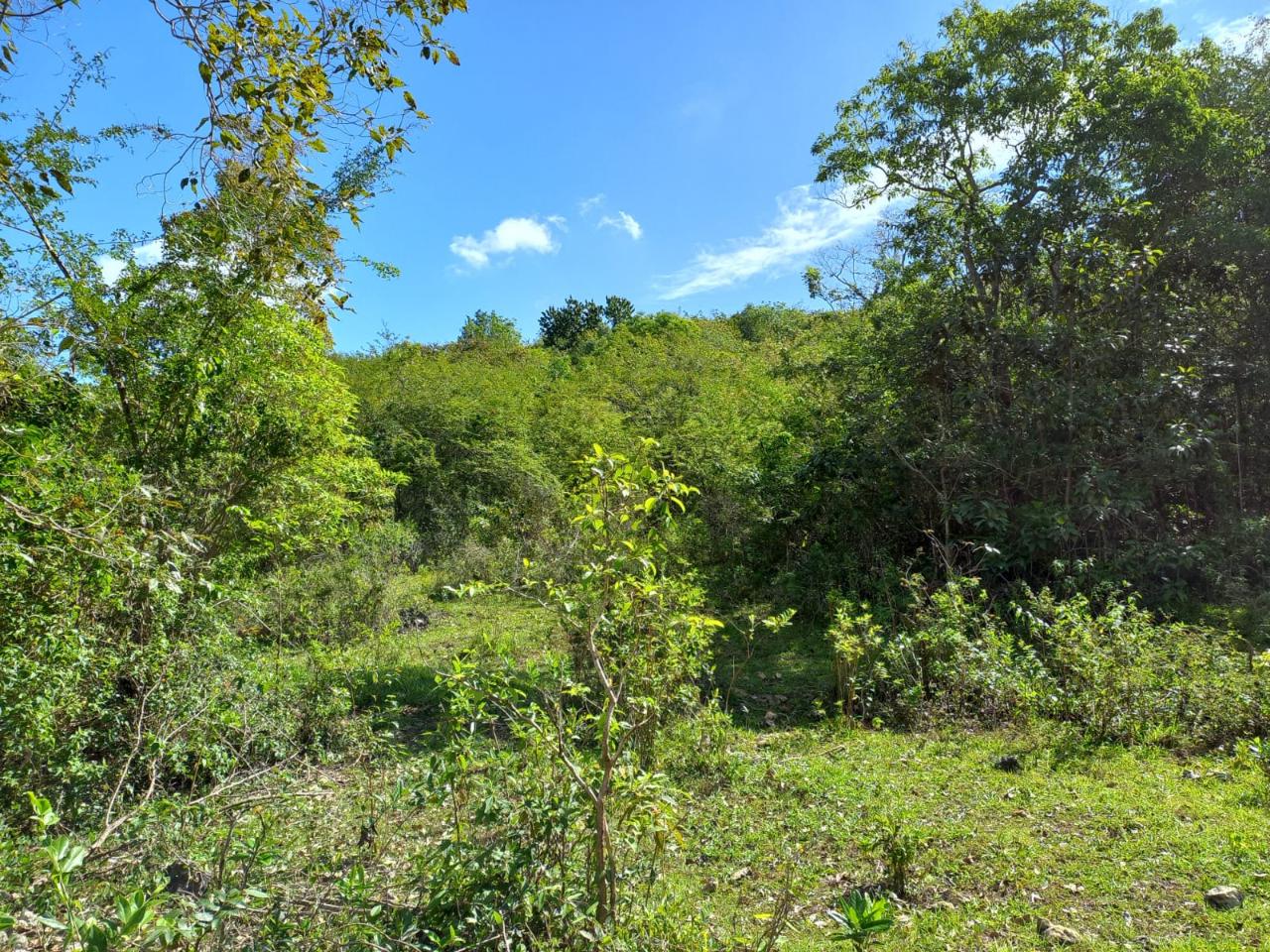 Development Land (Residential) For Sale RUSSELLS ST. ELIZABETH