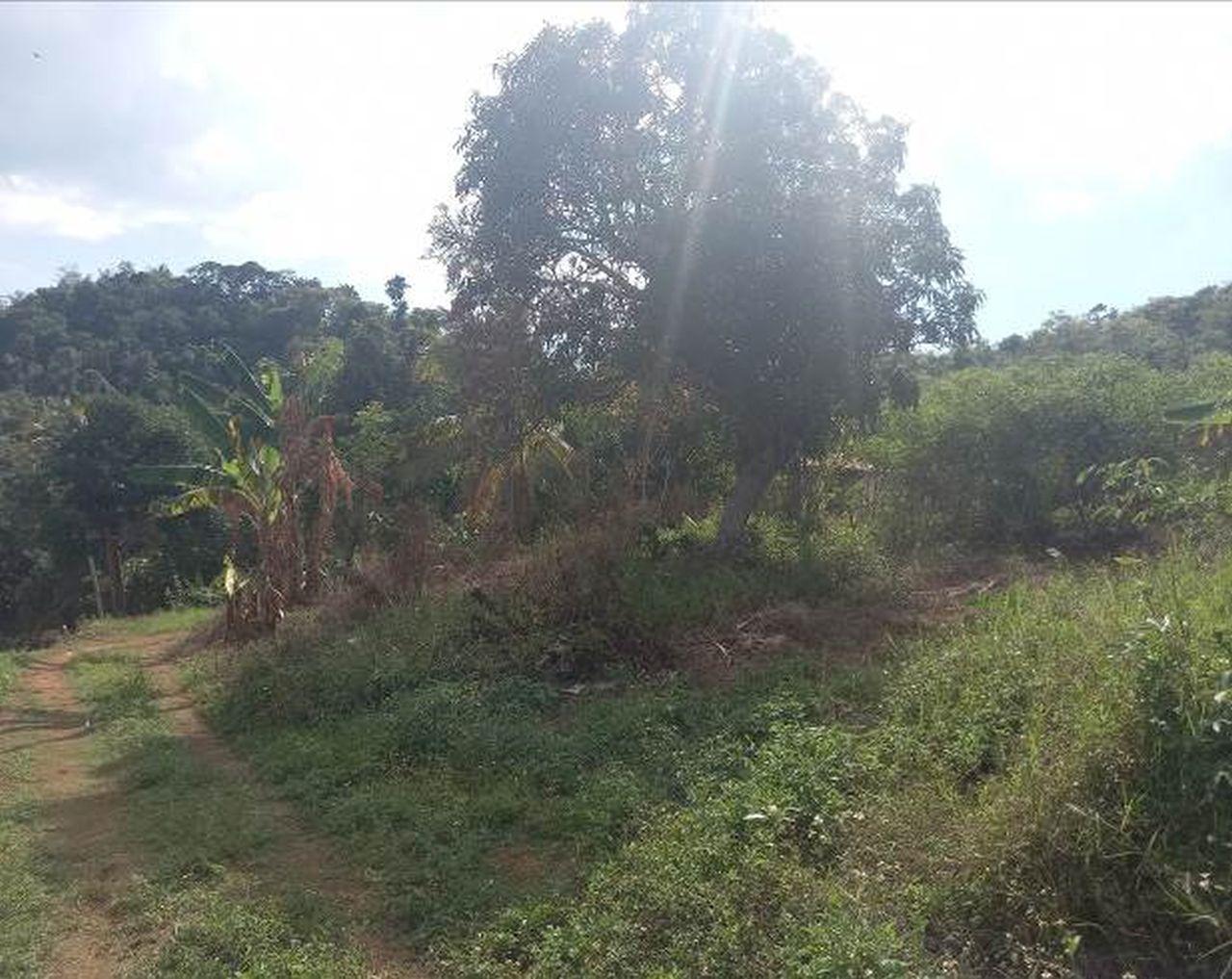 Development Land (Residential) For Sale WHITEHALL ST ELIZABETH, Middle