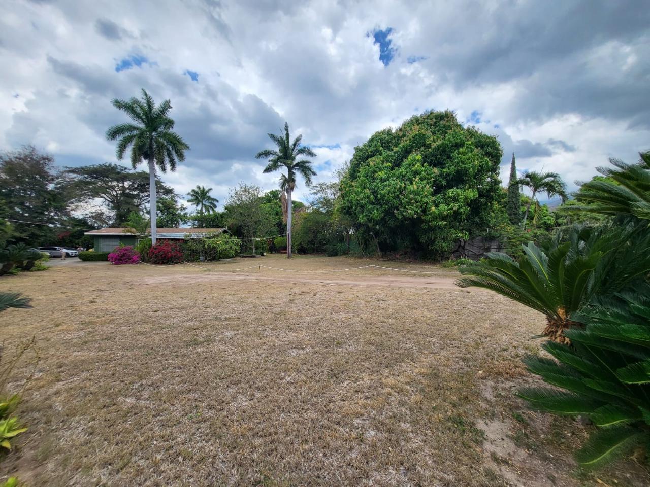 Development Land (Residential) For Sale BAMBOO AVENUE, Kingston 6