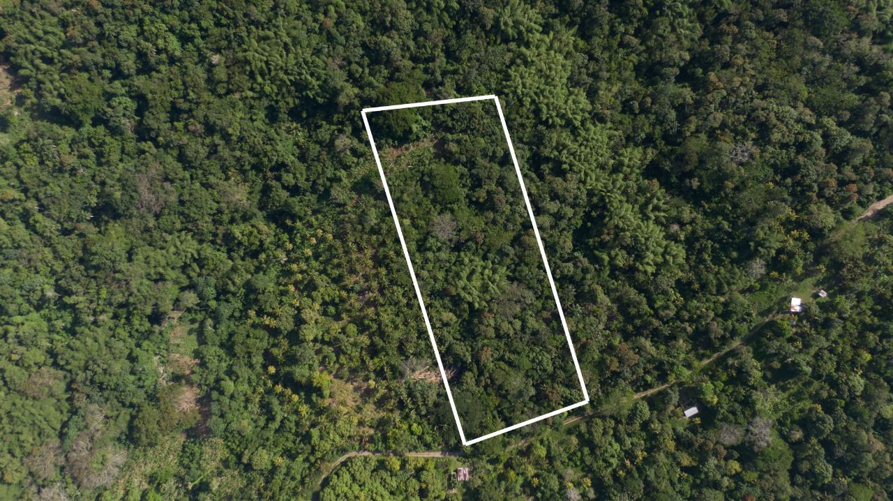 Residential Lot For Sale WHITE HALL, ISLINGTON, Islington 6,500,000