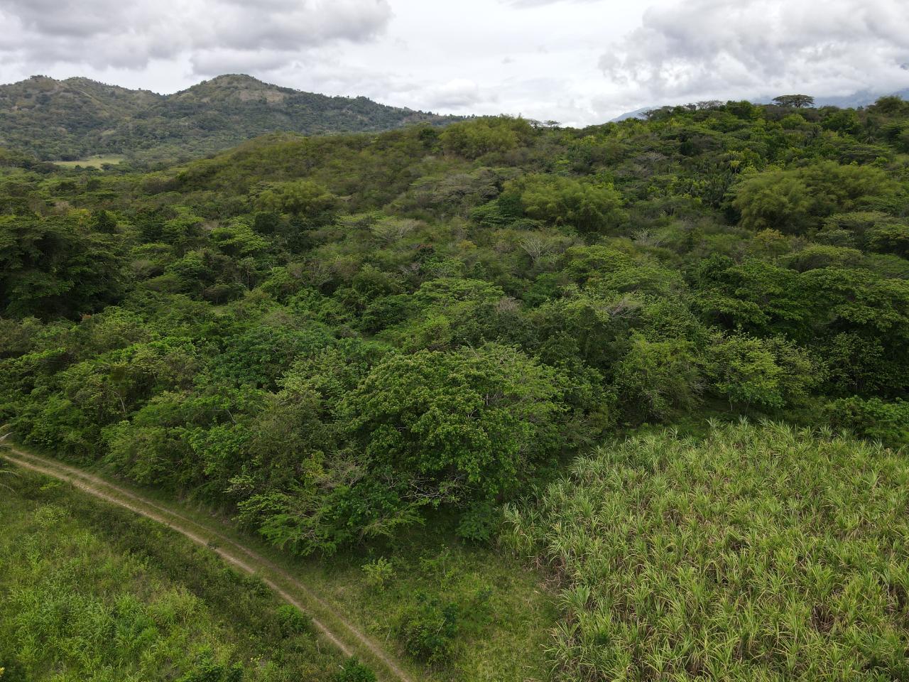 Development Land (Residential) For Sale DANVERS PEN, BLUE MTN