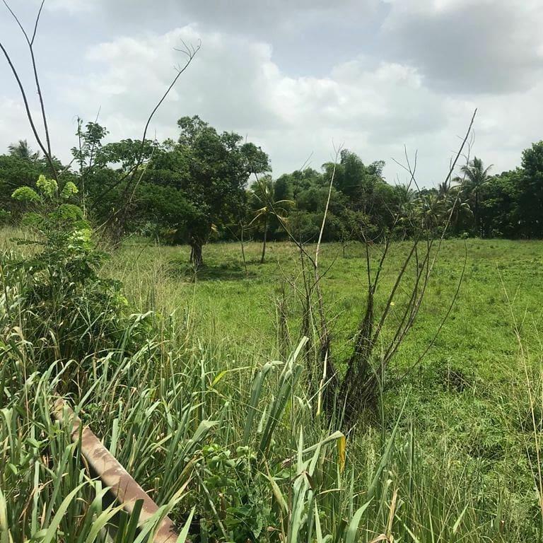 Commercial Lot For Rent BOG WALK, ST. CATHERINE, Bog Walk 4,500 Keez