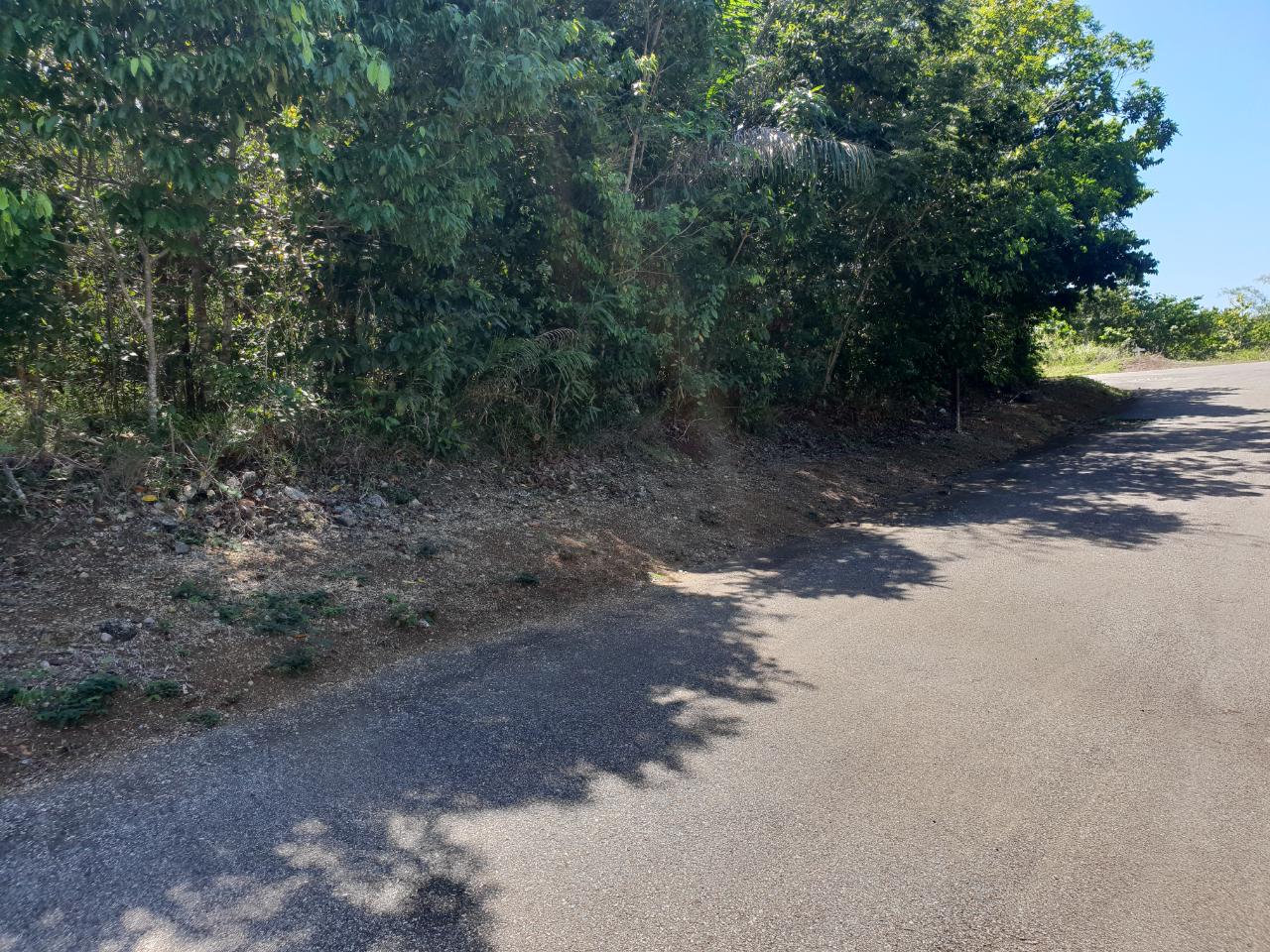 Residential Lot For Sale LOT 346 ORCHARD, HANOVER, Hopewell 105,000