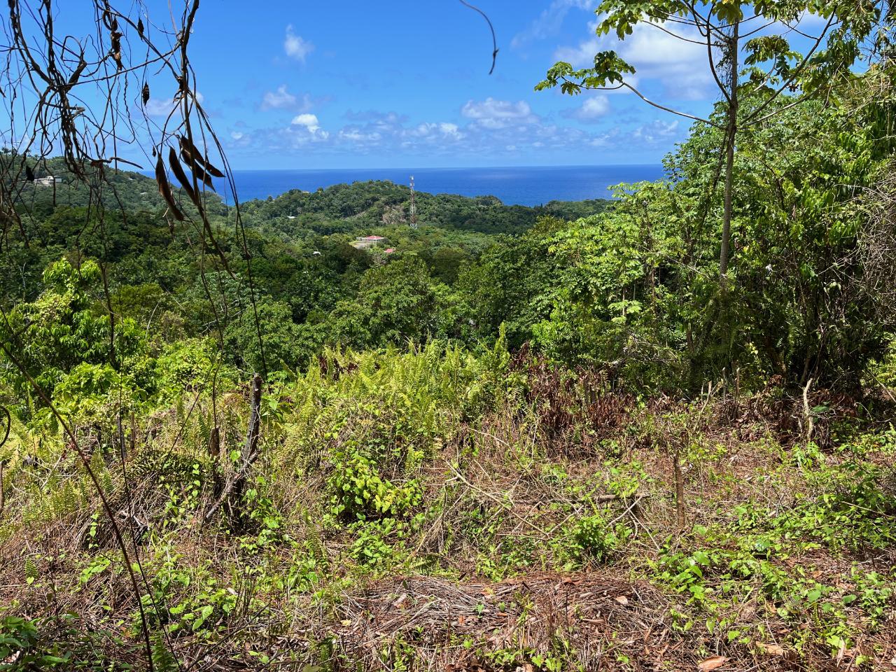 Development Land (Residential) For Sale WILLIAM CLOSE, ZION HILL