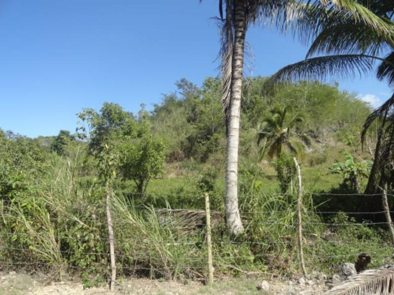 Development Land (Residential) For Sale BLYTHESTON, Adelphi