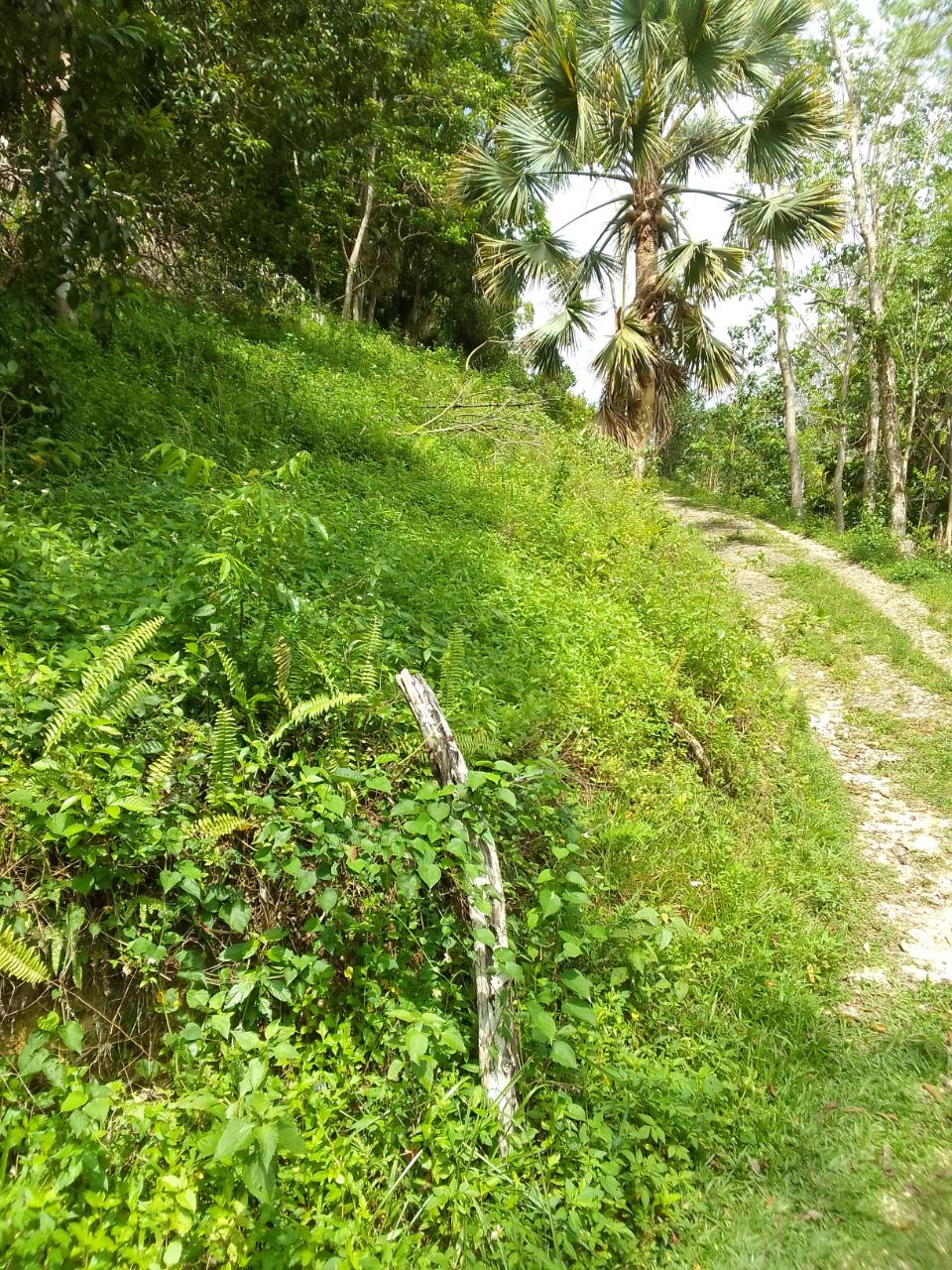 Development Land (Residential) For Sale PETERSVILLE, Beeston Spring 7,500,000 Keez