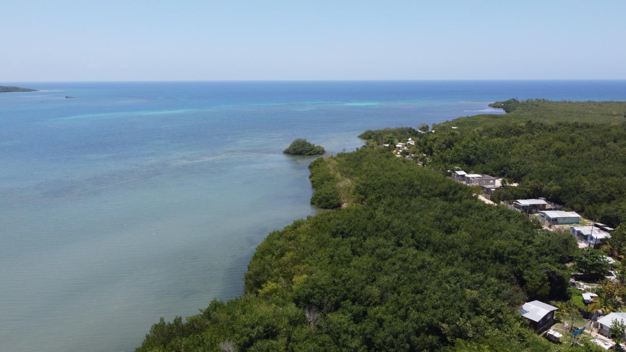 Development Land (Residential) For Sale GREEN ISLAND, Green Island