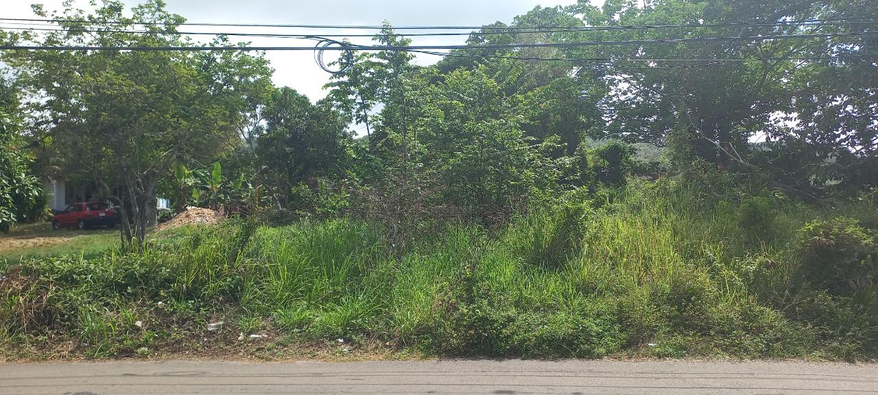 Residential Lot For Sale WARWICK MOUNTAIN, Ocho Rios 100,000 Keez