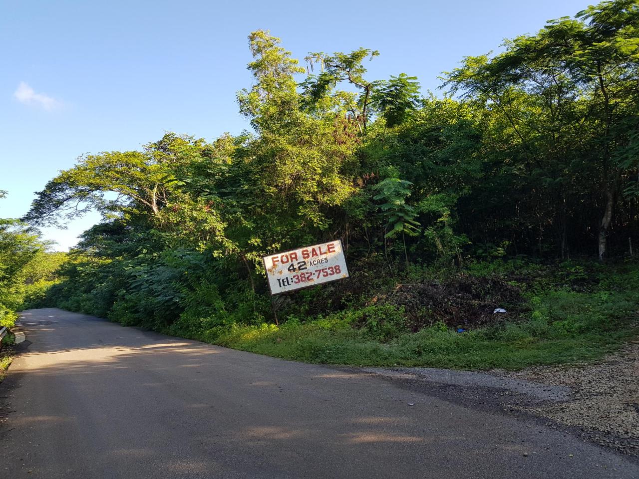 Development Land (Residential) For Sale WOODSIDE, Wood Hall