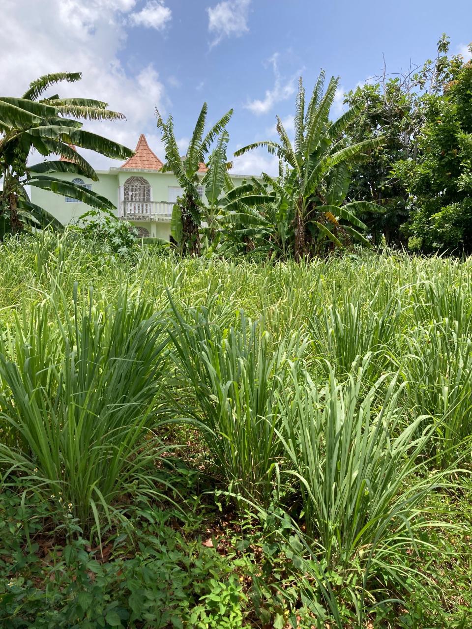 Residential Lot For Sale CORAL GARDENS, IRONSHORE, Montego Bay