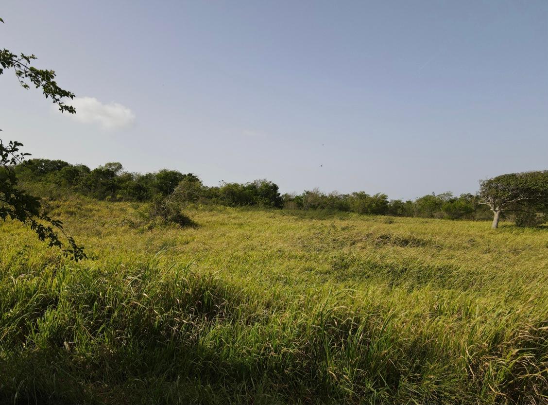 Development Land (Residential) For Sale SOUTHFIELD ROAD, Southfield