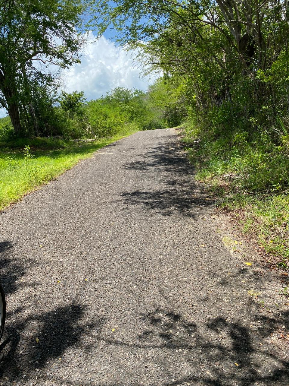 Development Land (Residential) For Sale LUANA, Black River 8,000,000 Keez