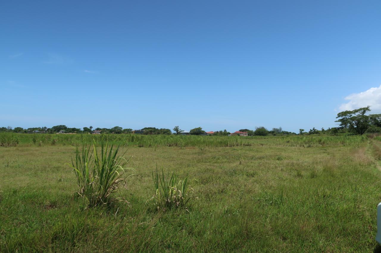 Development Land (Residential) For Sale BATH PEN, SAVANNALAMAR, SavannaLaMar 357,440,000