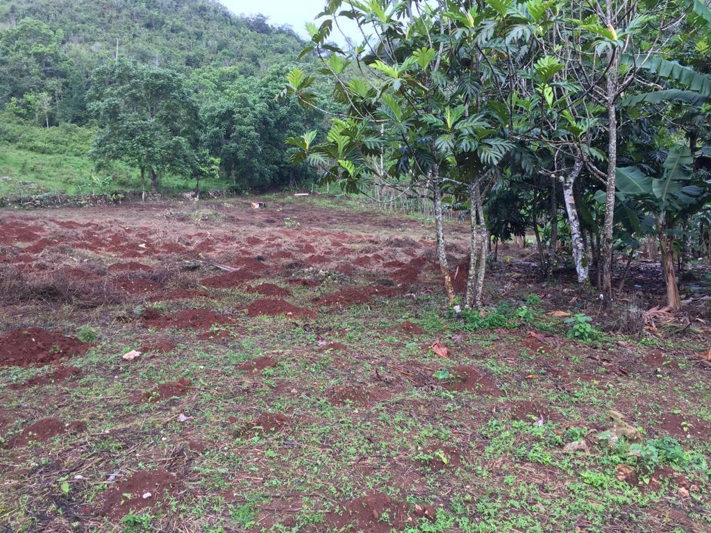 House For Sale CLAREMONT, ST. ANN, Claremount 100,000 Keez