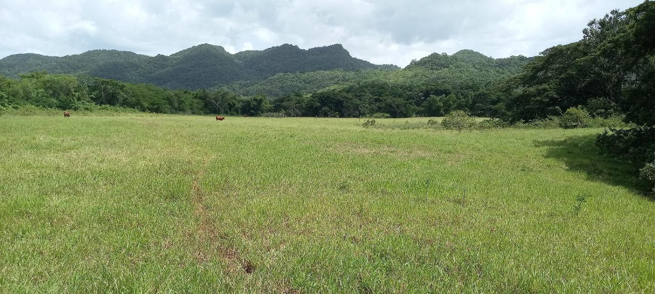 Development Land (Residential) For Sale HYDE amp; GIBRALTAR, Clarks