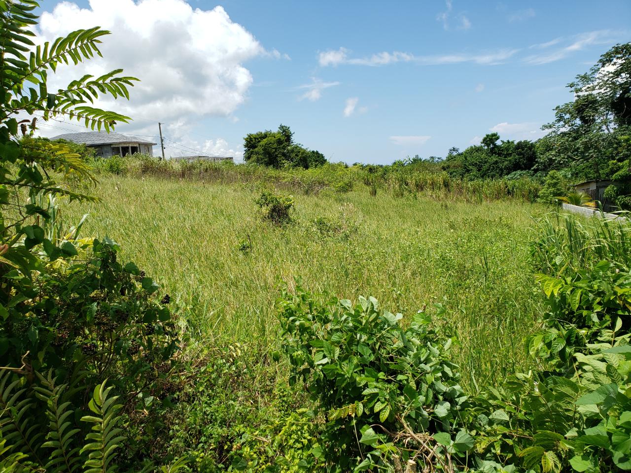 Residential Lot For Sale INDUSTRY PEN, Retreat 6,500,000 Keez