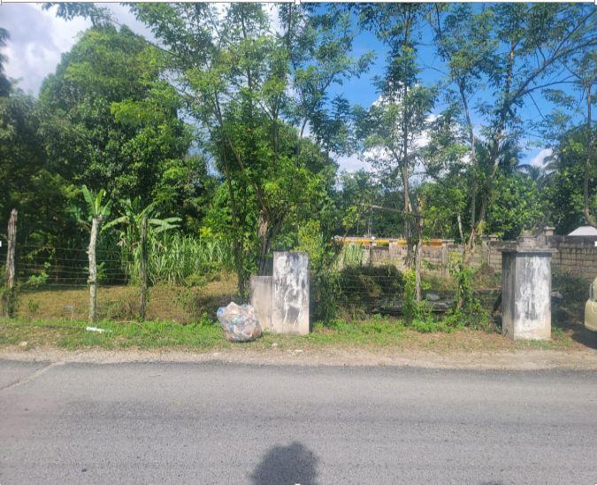 Residential Lot For Sale CHESTER CASTLE, Chester Castle 62,500 Keez