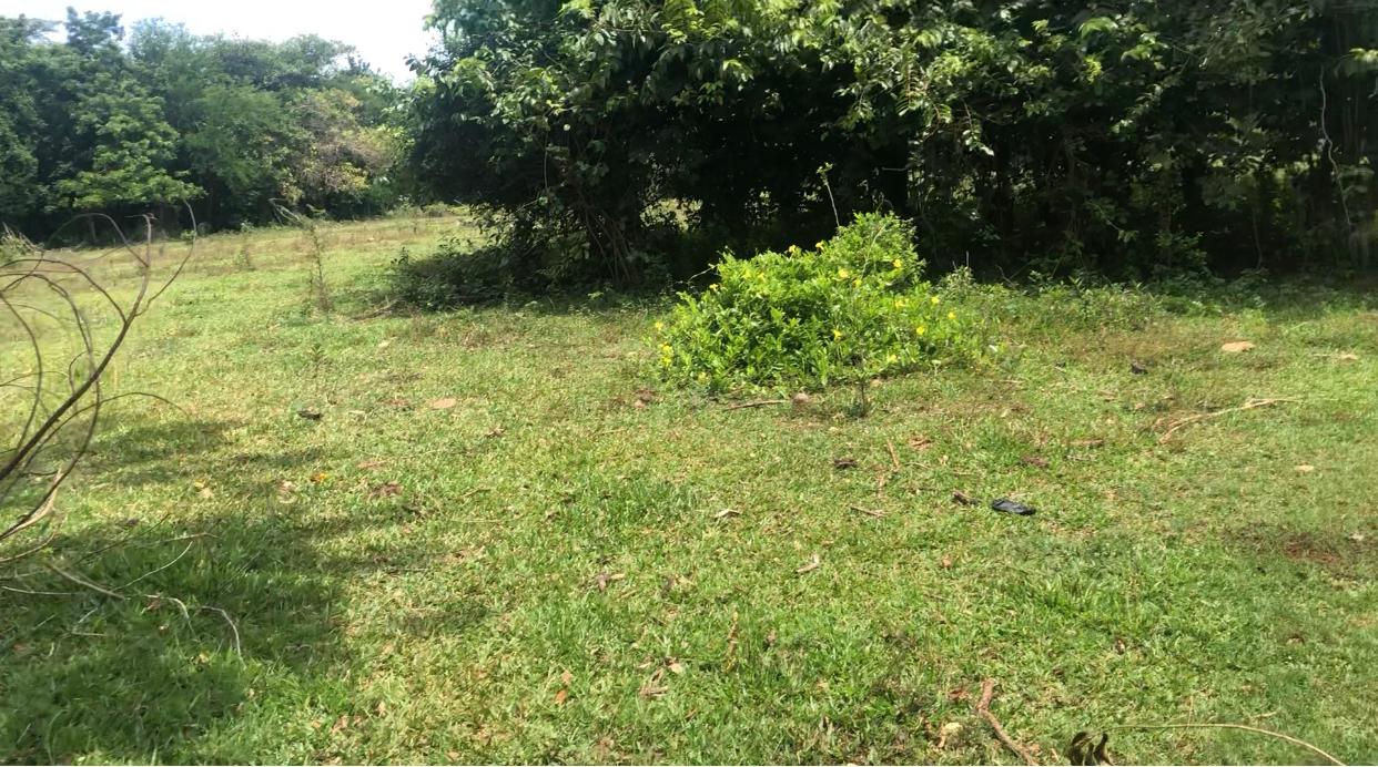 Development Land (Residential) For Sale NEW HOPE, LITTLE LONDON