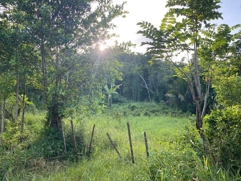 Residential Lot For Sale PHOENIX PARK, Moneague 35,000,000 Keez