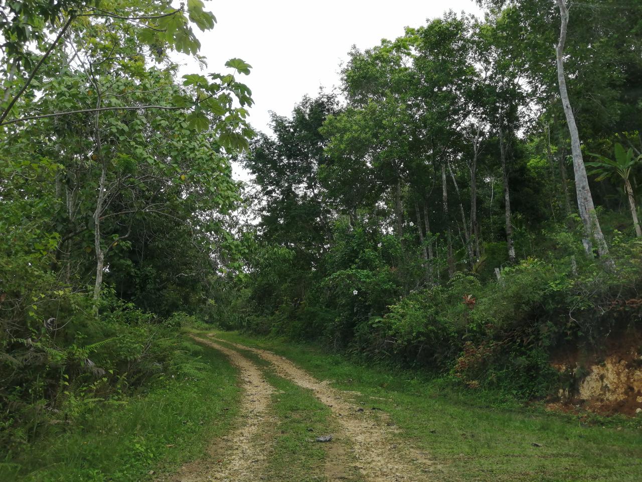 Residential Lot For Sale SLIGOVILLE TO BOG WALK, Sligoville