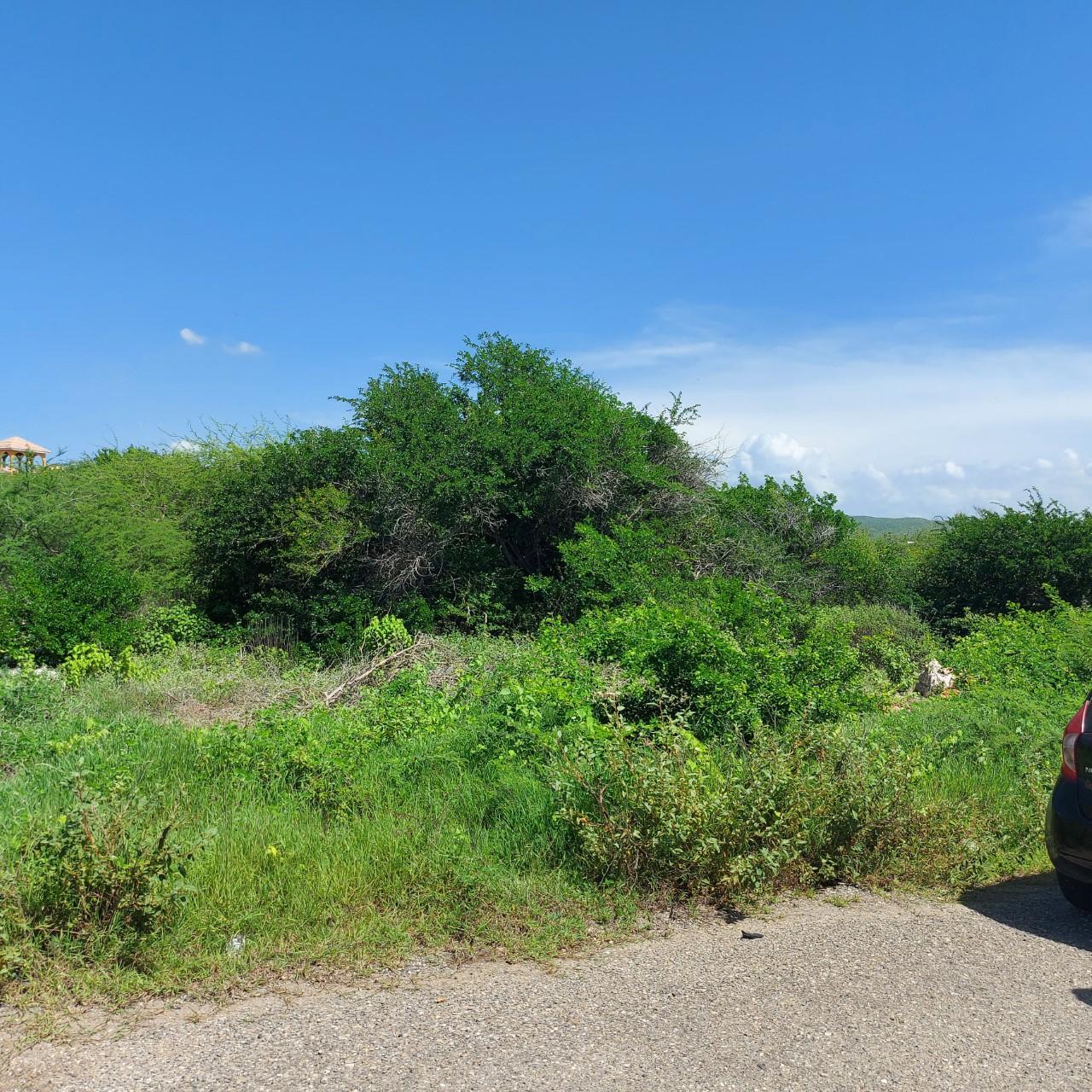 Residential Lot For Sale JOHNSON HILL HELLSHIRE, Greater Portmore