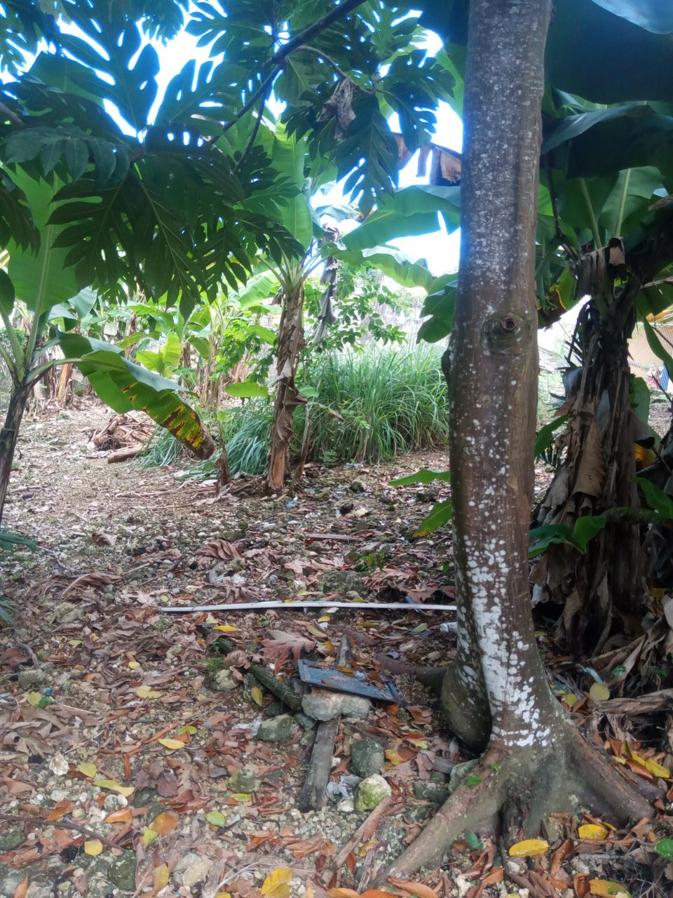 Residential Lot For Sale TANGERINE CLOSE, Green Island 8,000,000 Keez