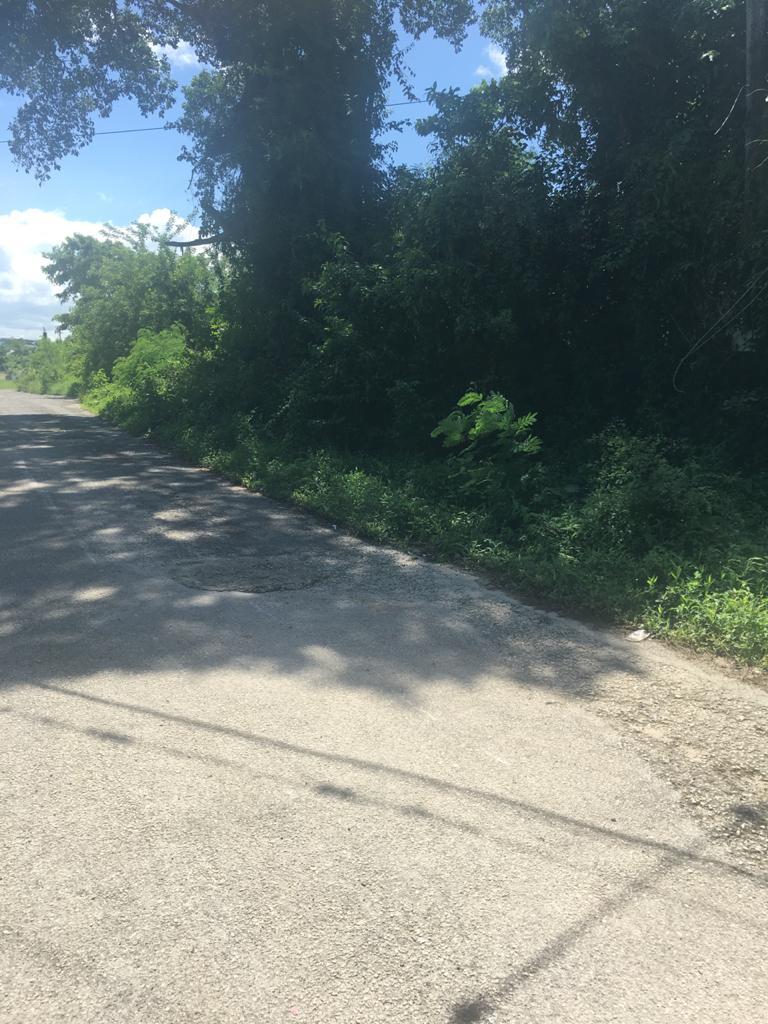 Residential Lot For Sale CORTON DRIVE, FLATROCK, L, Black River