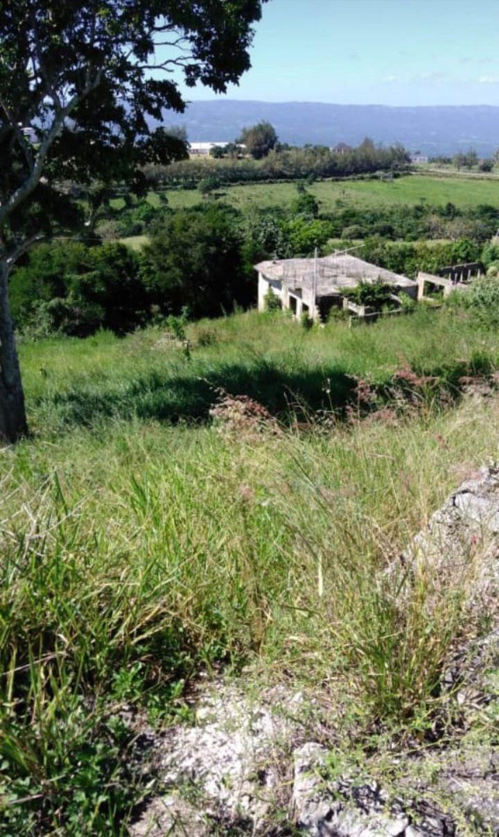 Residential Lot For Sale KOALANUT CRESCENT, Spur Tree 5,000,000 Keez