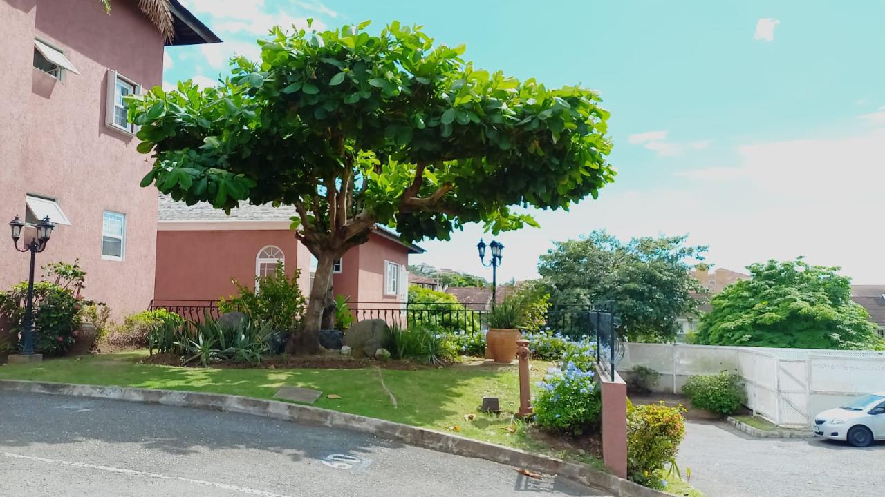 Apartment For Rent ST. MICHAEL'S TERRACE, Kingston 6 80,000 Keez