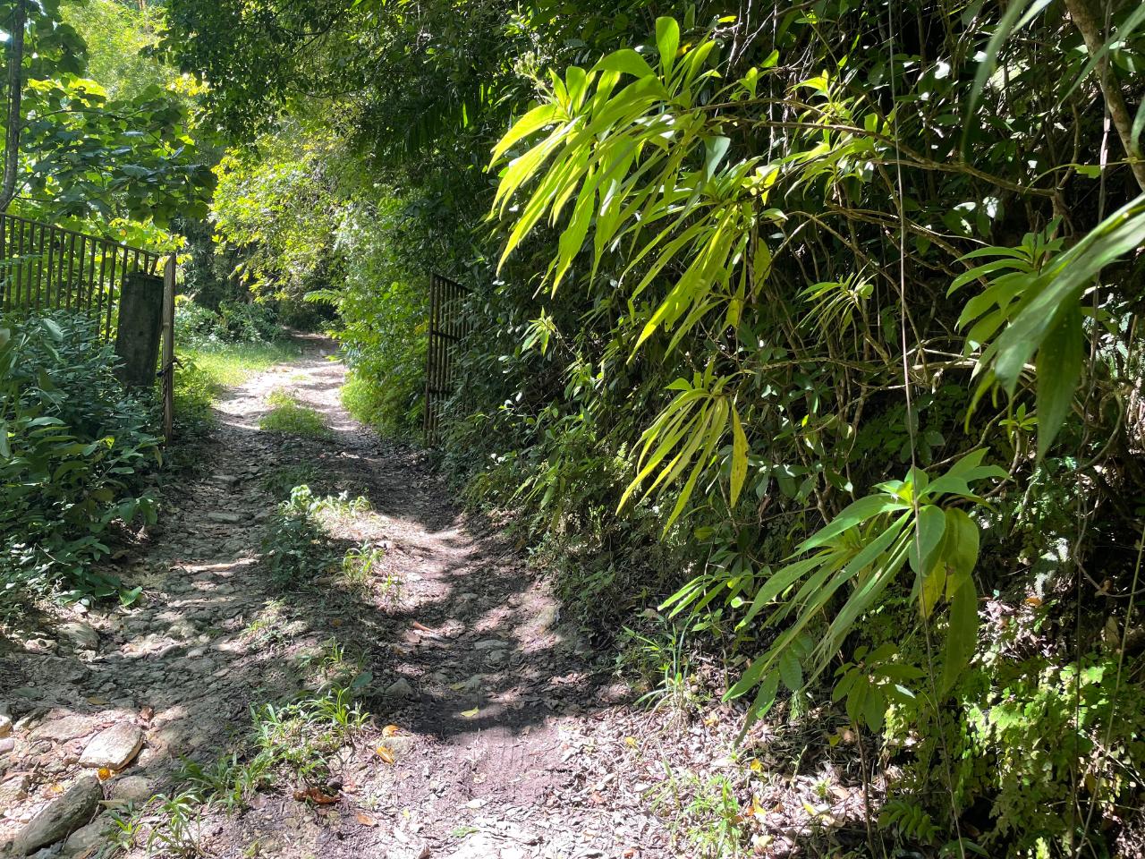 Development Land (Residential) For Sale LAND PART OF BELLEVUE, Carron