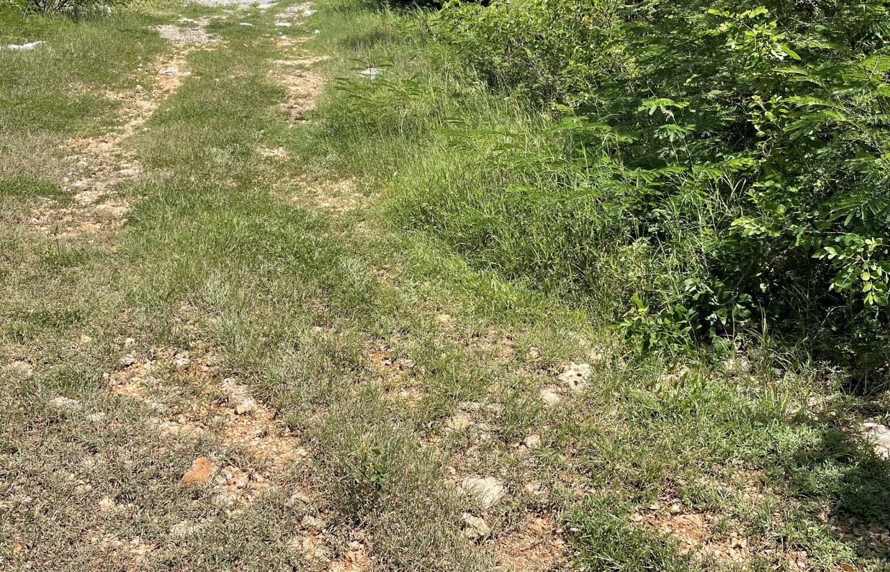 Residential Lot For Sale OLD HARBOUR GLADES, Old Harbour 6,200,000 Keez