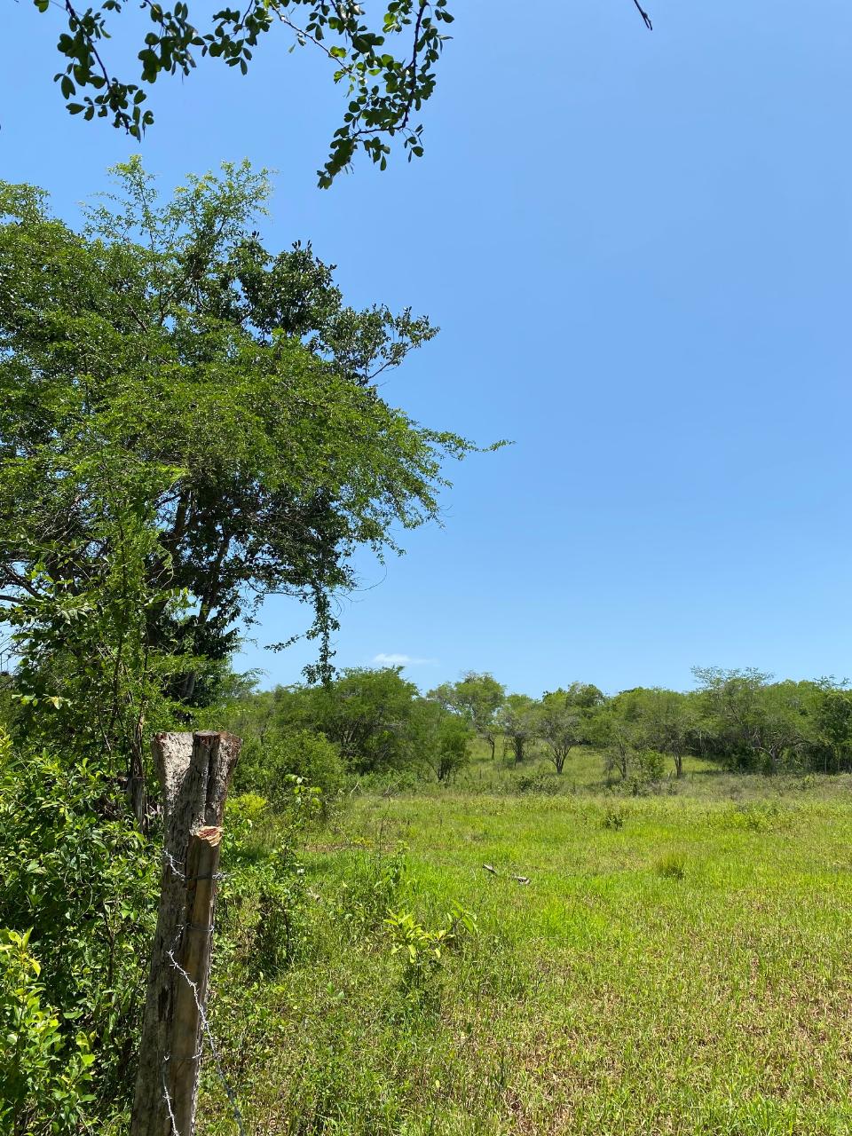 Development Land (Residential) For Sale LUANA, Black River 17,000,000 Keez