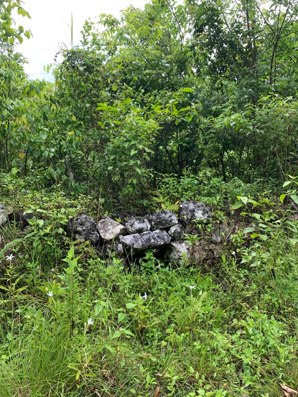 Development Land (Residential) For Sale ADELPHI LIMA, Adelphi