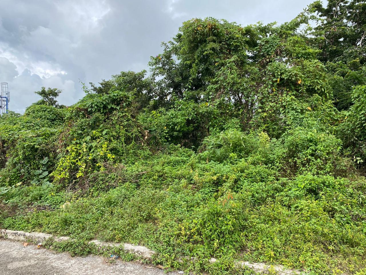 Residential Lot For Sale PIMENTO DRIVE, SALT SPRIN, Montego Bay 5,500,000 Keez