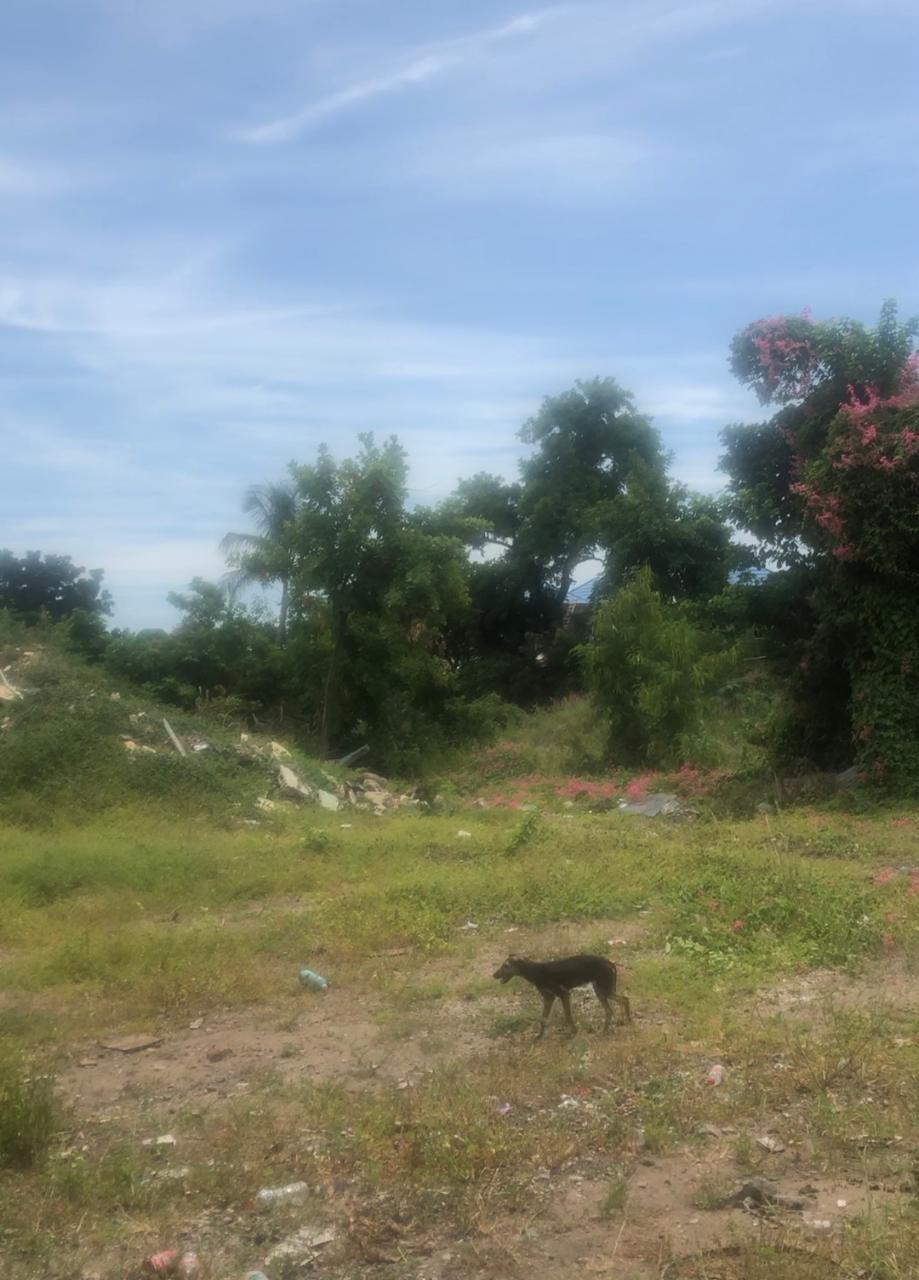 Development Land (Residential) For Sale LITTLE KEW ROAD, KINGSTON