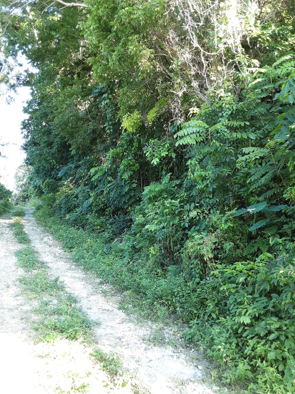 Residential Lot For Sale SALT SPRING, Salt Spring 1,500,000 Keez