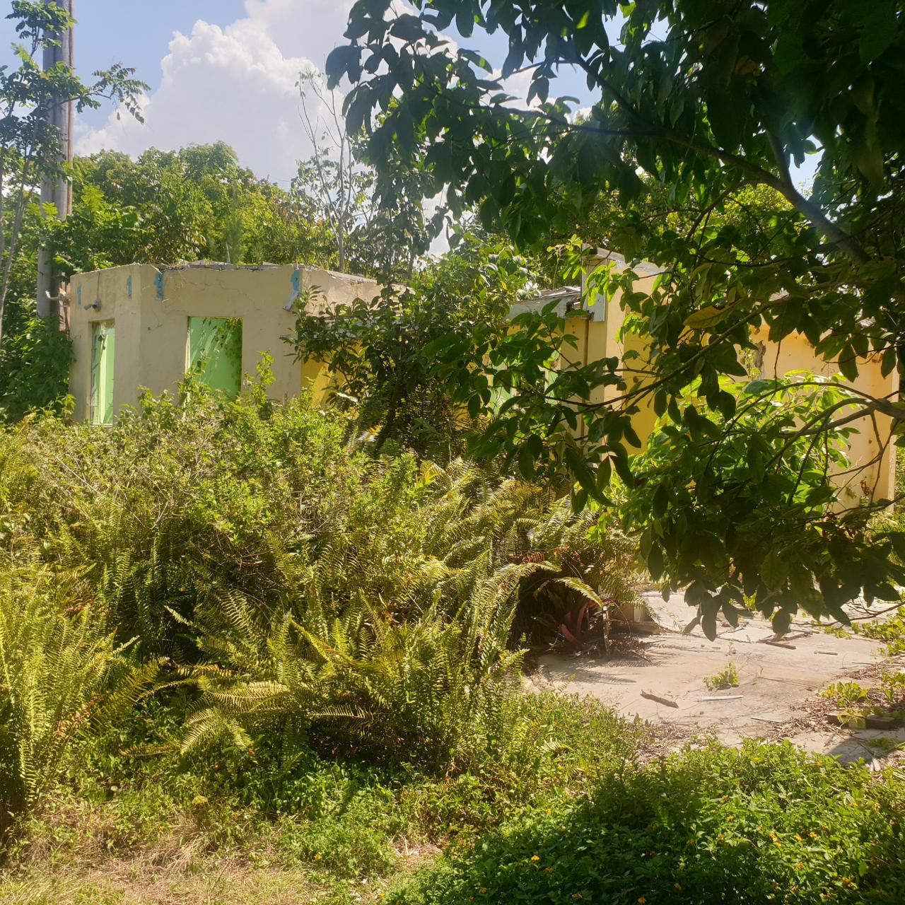 Development Land (Residential) For Sale BRAMPTON DISTRICT, Jackson Town 110,000,000 Keez