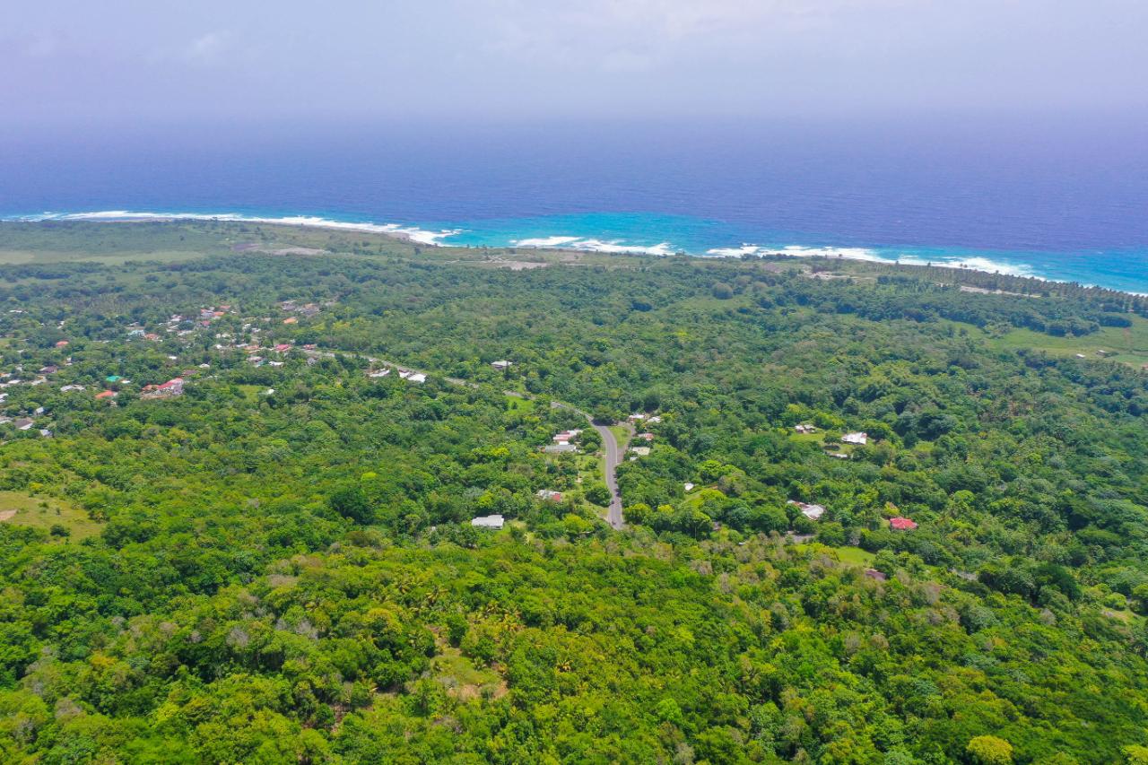 Development Land (Residential) For Sale WOODSTOCK ESTATE BUFF BAY