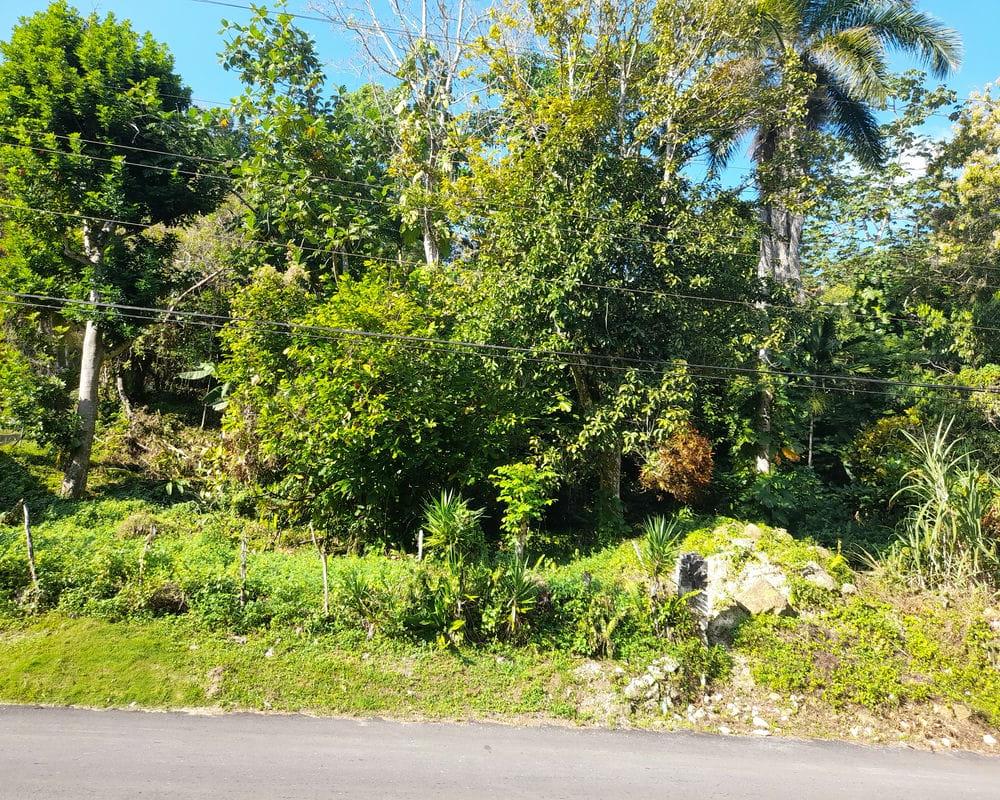 Residential Lot For Sale HOPEWELL, Hopewell 50,000 Keez