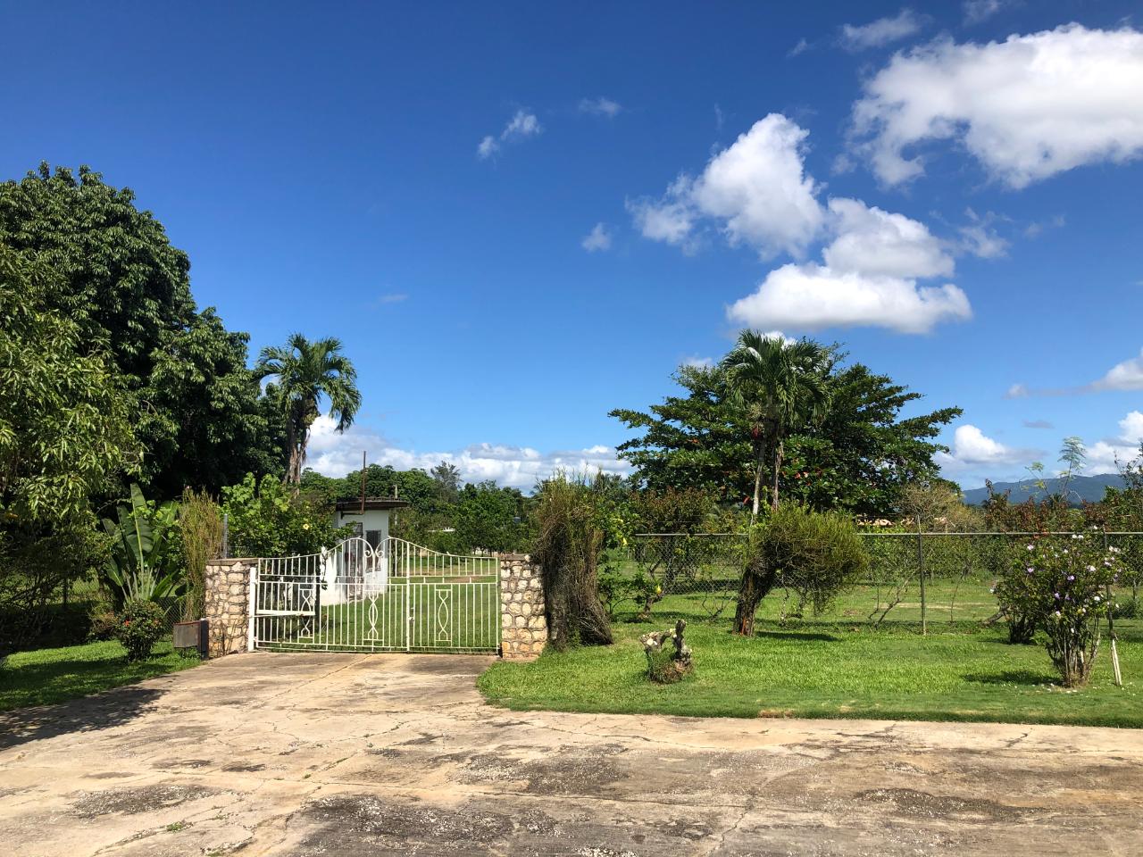 Development Land (Residential) For Sale BANBURY ESTATE, LINSTEAD