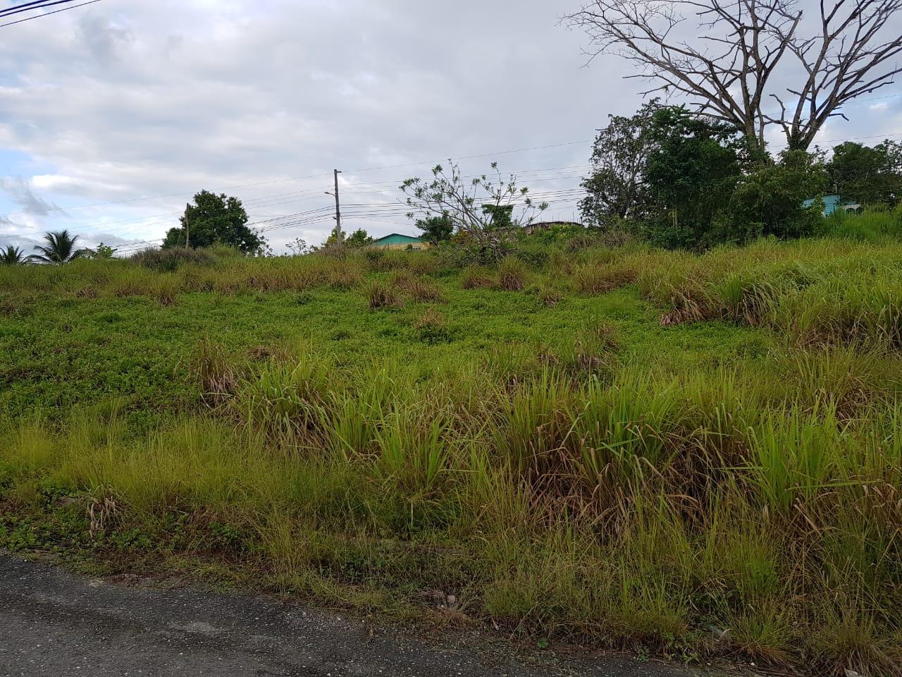 Residential Lot For Sale WINCHESTER ESTATES, Green Island 40,000 Keez
