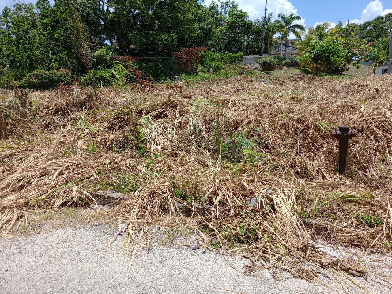 Residential Lot For Sale TOWER HILL, TOWER ISLE, Tower Isle