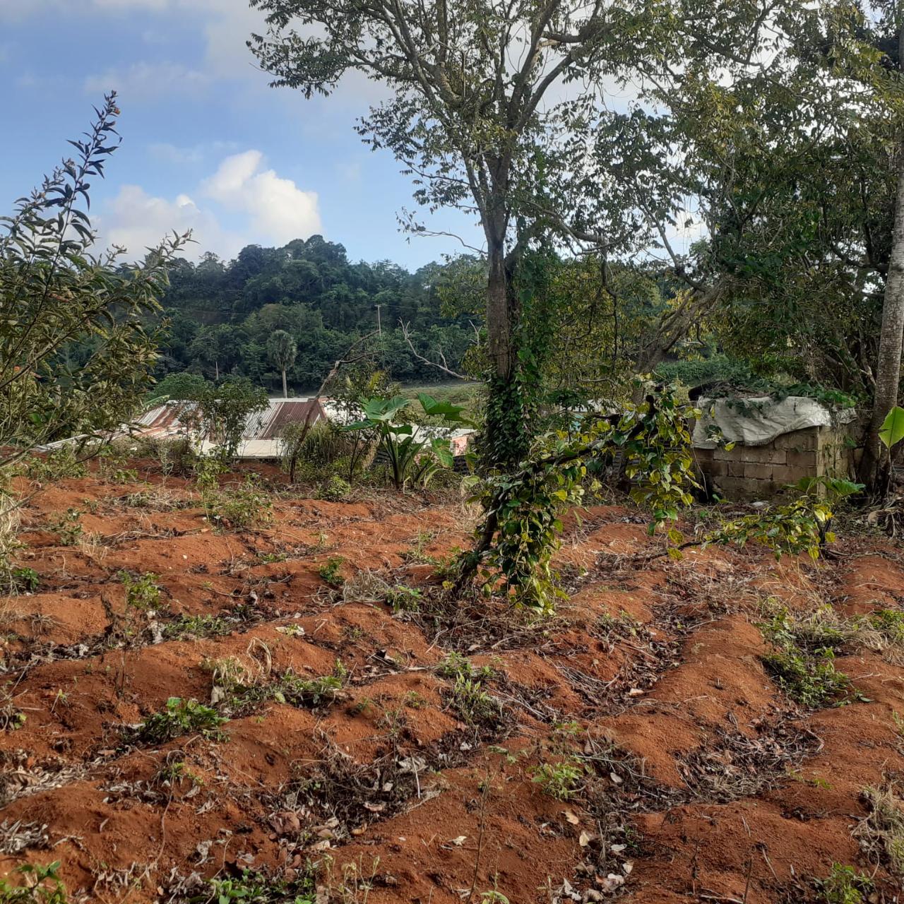 Residential Lot For Sale CHUDLEIGH, Christiana 11,000,000 Keez