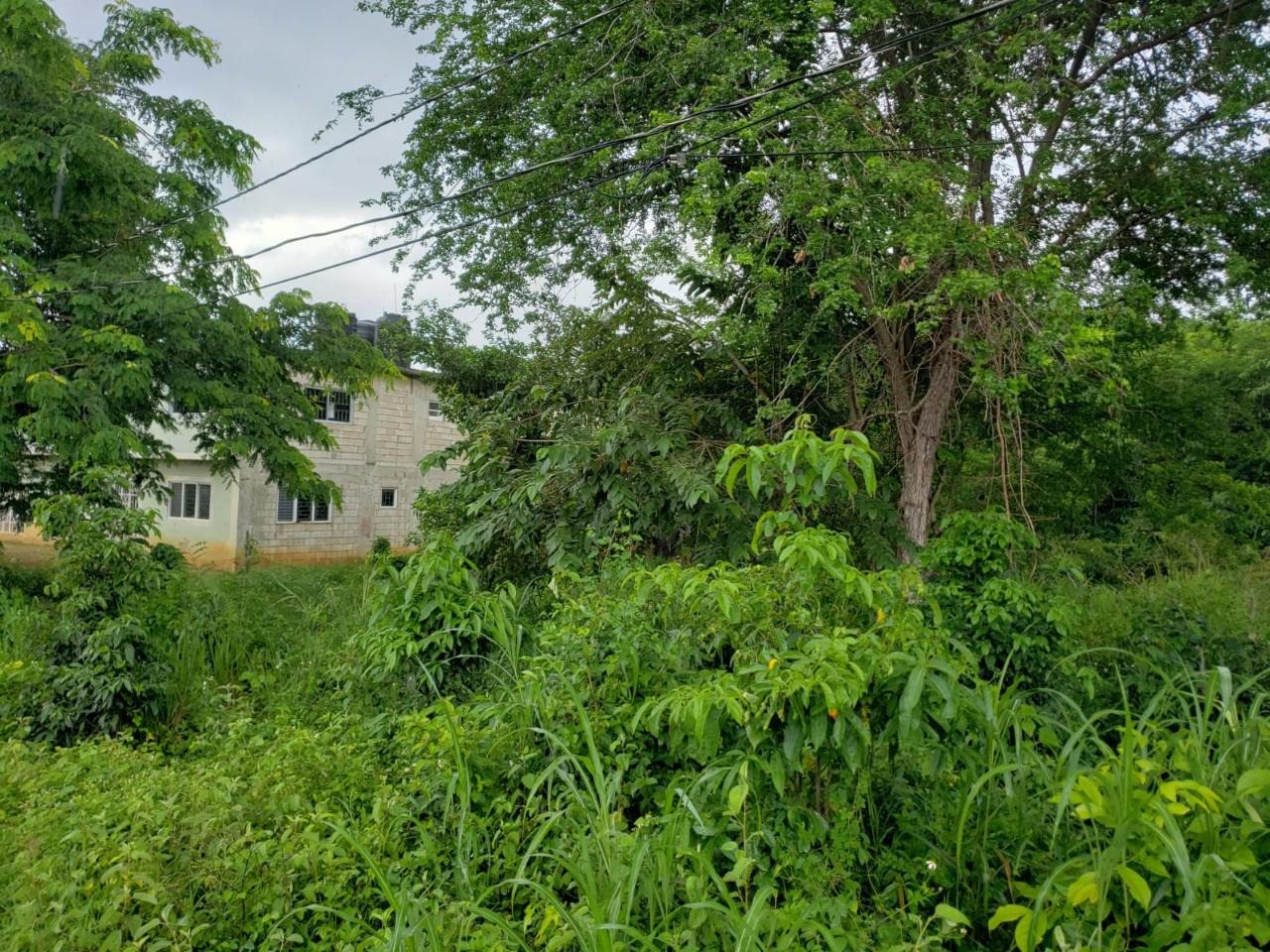 Residential Lot For Sale WESTLANDS, Negril 65,000 Keez