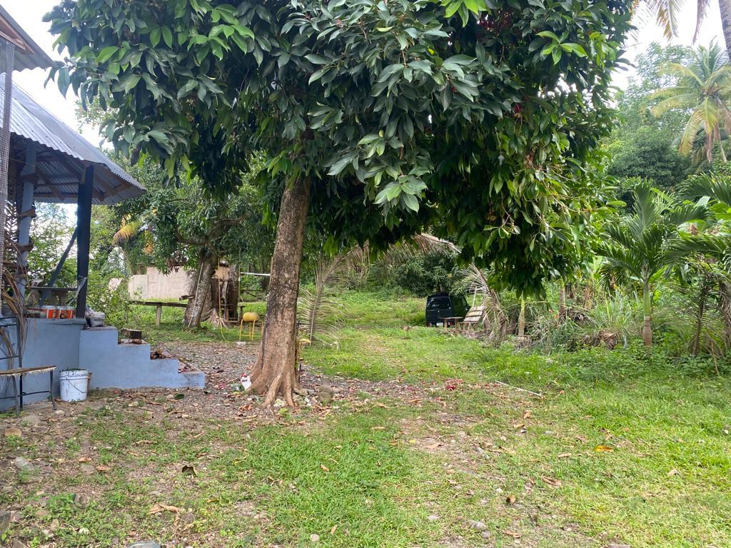 Residential Lot For Sale KILDARE, Buff Bay 8,200,000 Keez