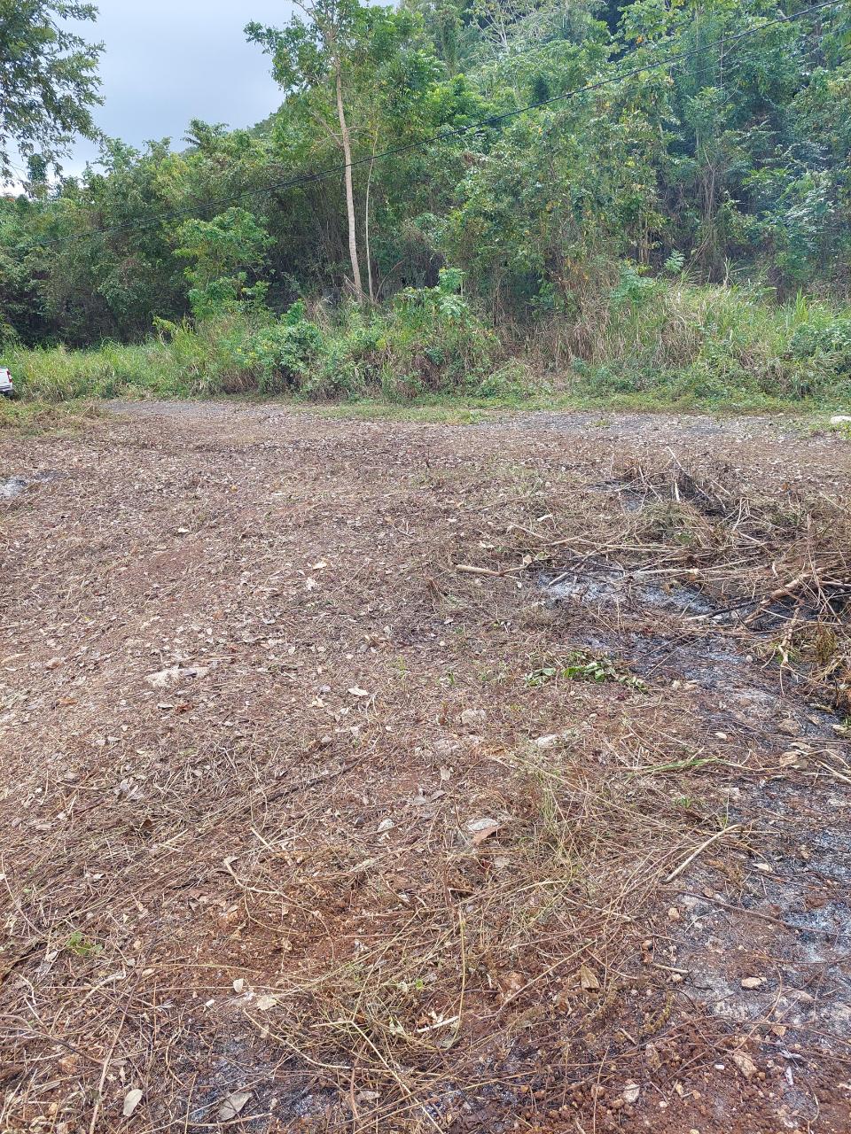 Residential Lot For Sale HUDDERSFIELD, Boscobel 100,000 Keez