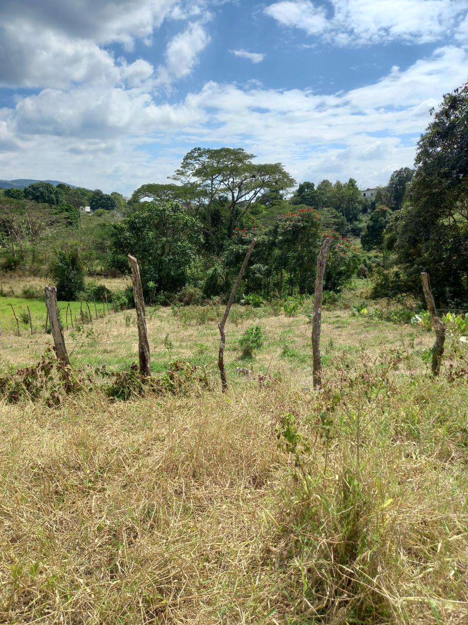 Residential Lot For Sale MILE GULLY, Mile Gully 5,500,000 Keez