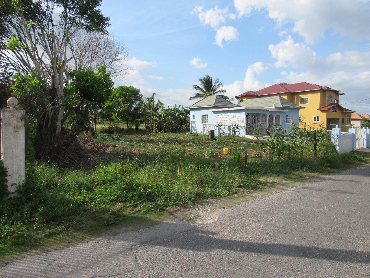 Residential Lot For Sale OAK DRIVE, Santa Cruz 4,000,000 Keez